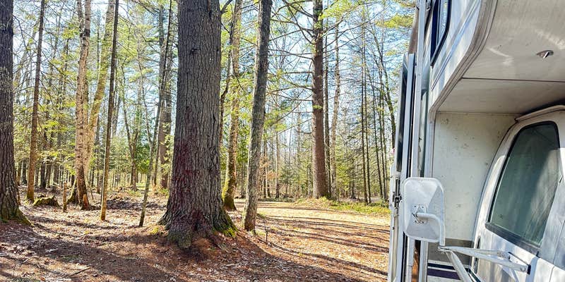 Camper submitted image from Haymeadow Creek NF Campground