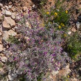 Review photo of Haystack Mountain OHV Area by Stephanie P., April 23, 2025