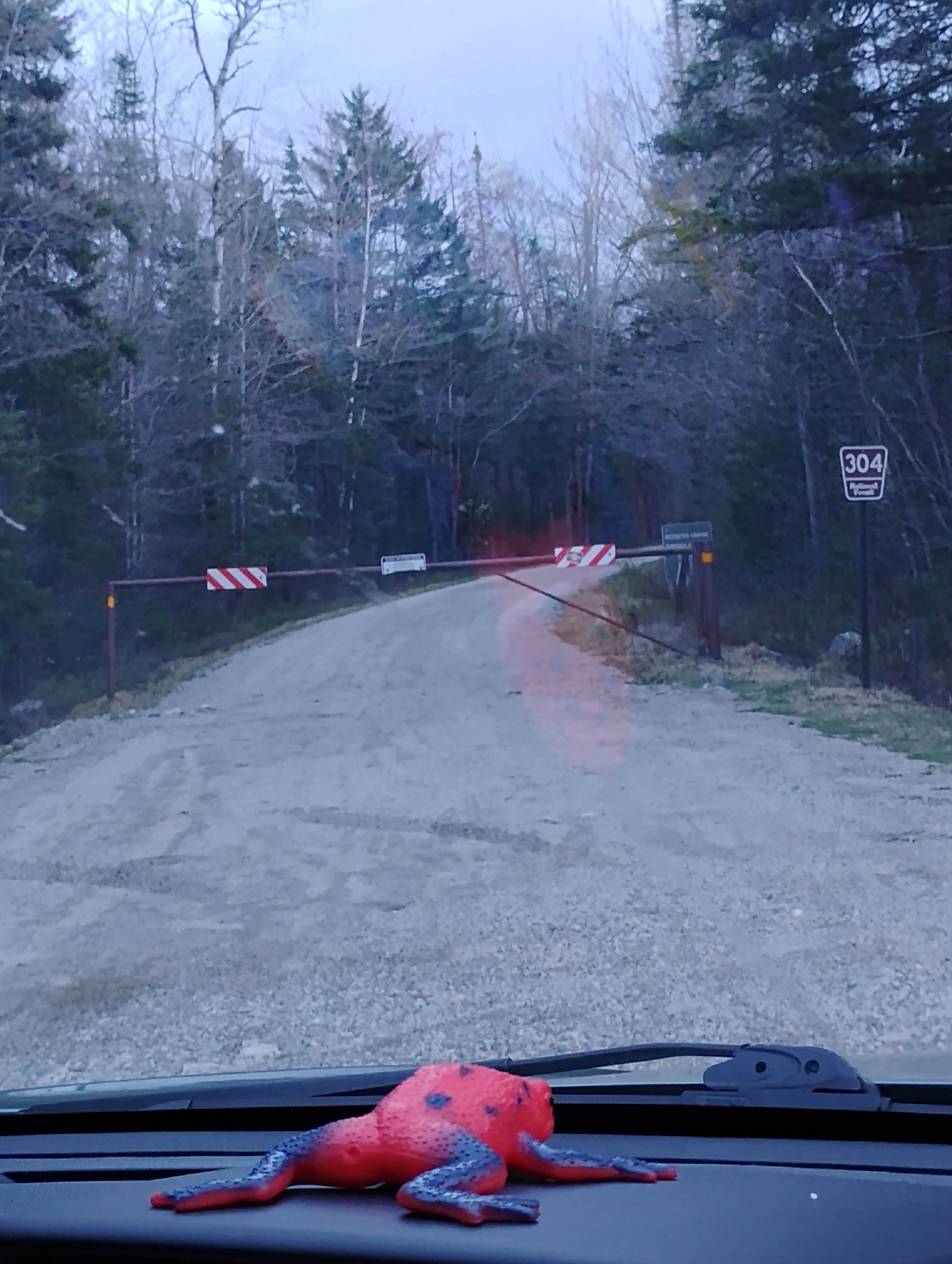 Camper-submitted photo at Haystack Road near Denmark, ME