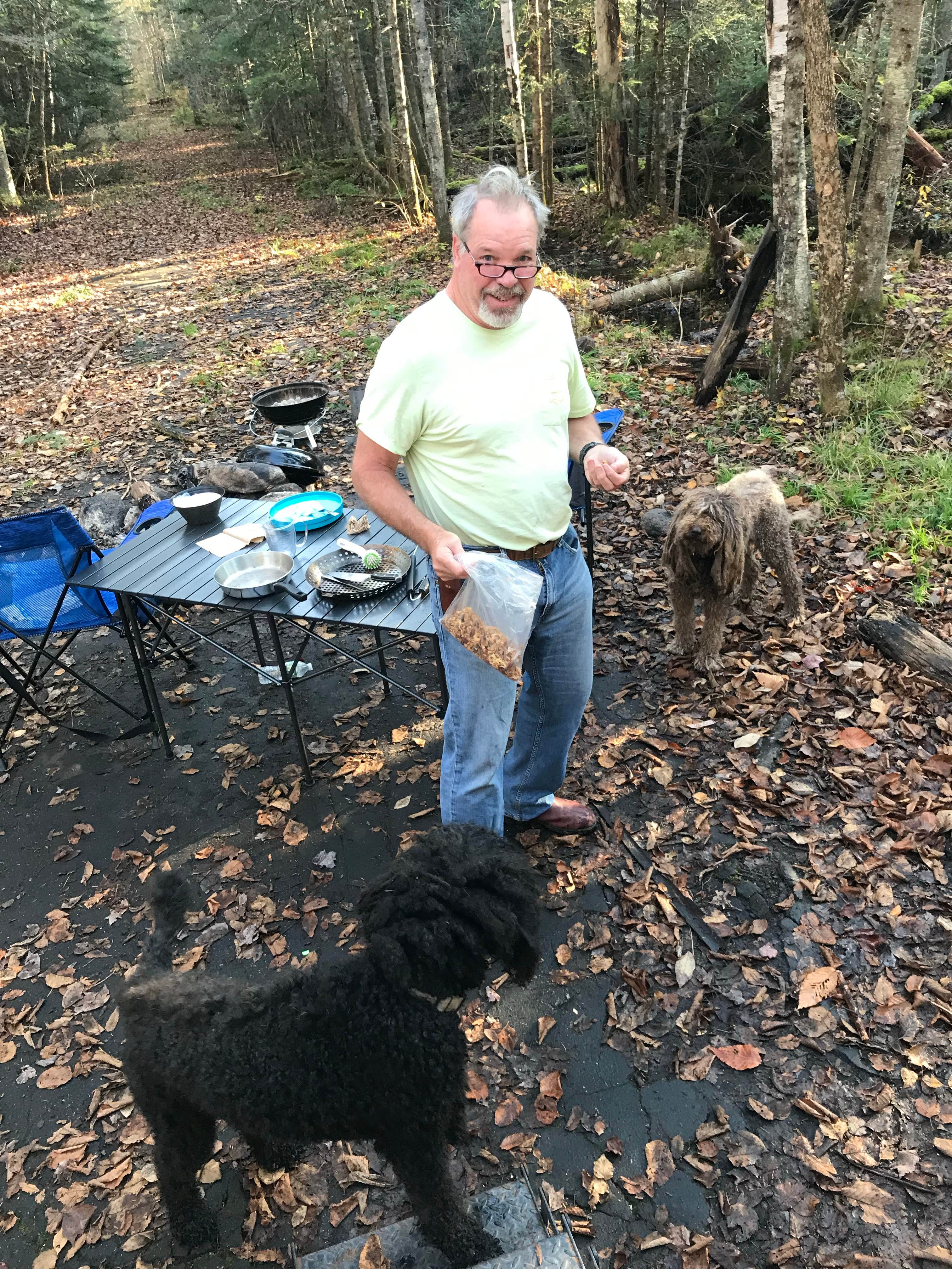 Camper-submitted photo at Haystack Road near Denmark, ME