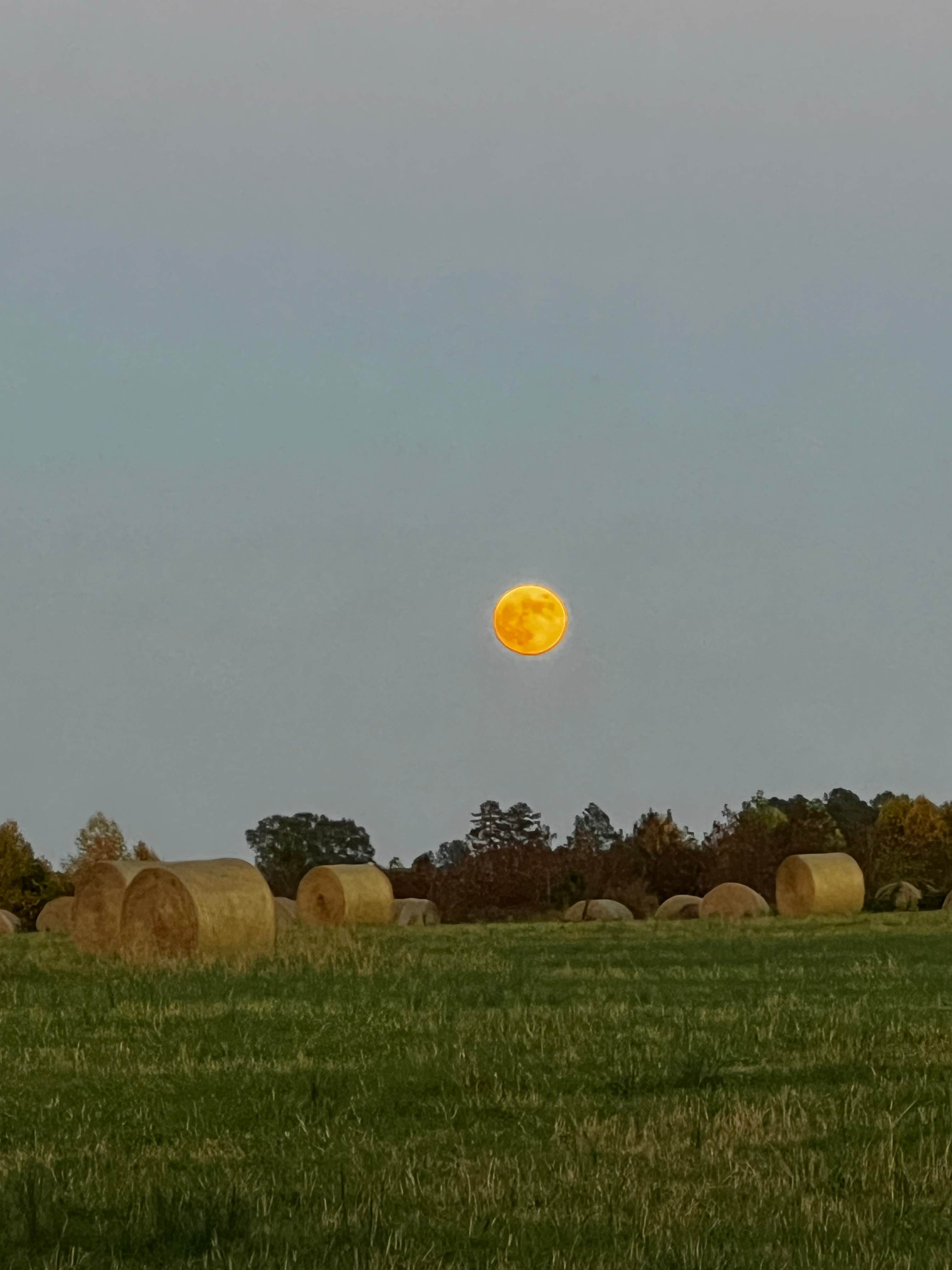 Camper-submitted photo at Haywood Hollow Camper Parking near Rockingham, NC