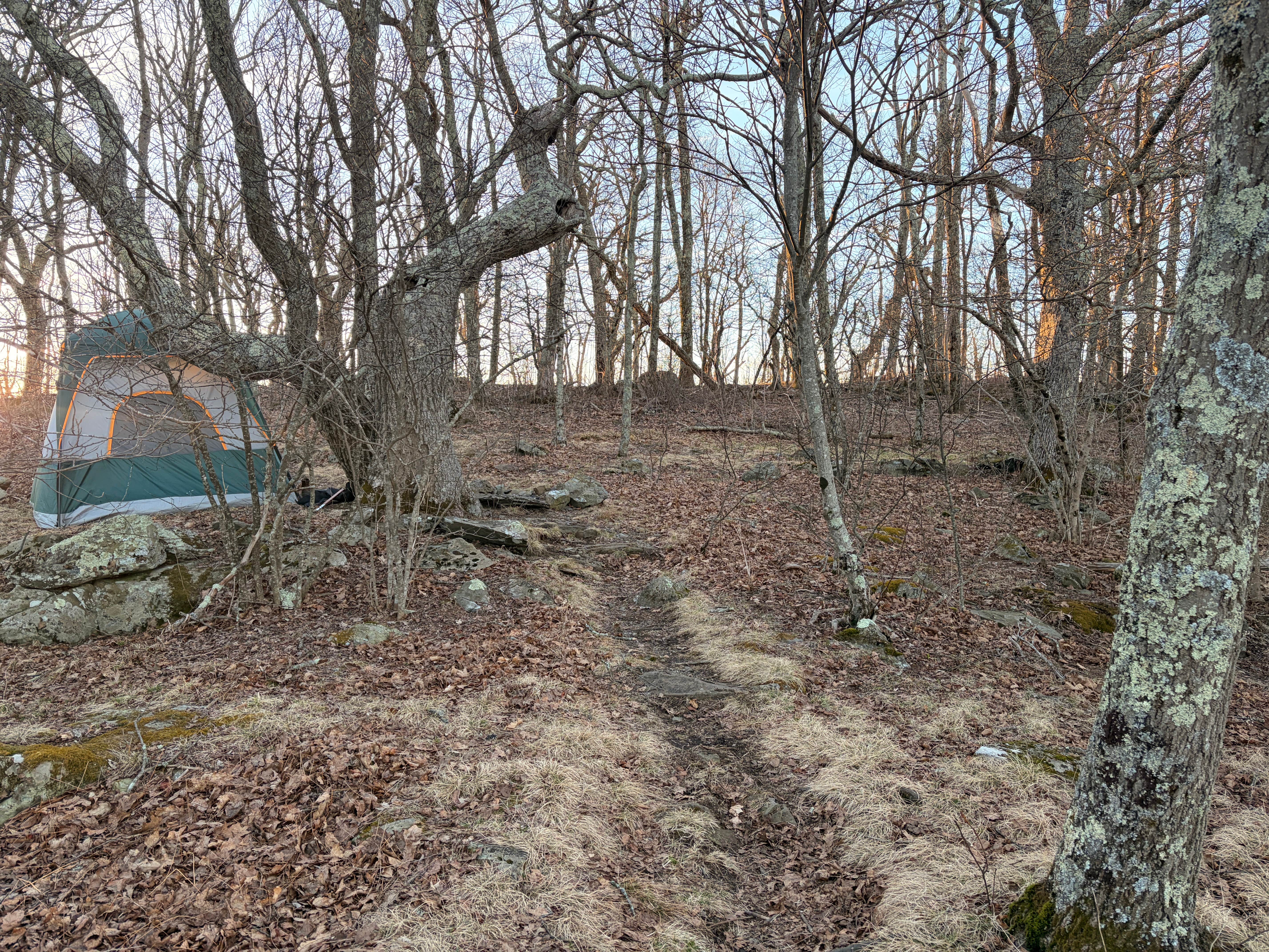 Hazeltop Summit Bluff Dispersed Camping