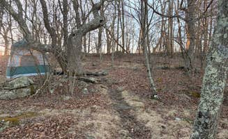 Bradley P.'s photo at Hazeltop Summit Bluff Dispersed Camping near Ruckersville, VA