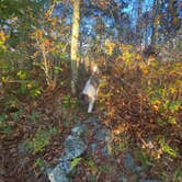 Review photo of Hazeltop Summit Dispersed Camping by Nora S., October 13, 2023