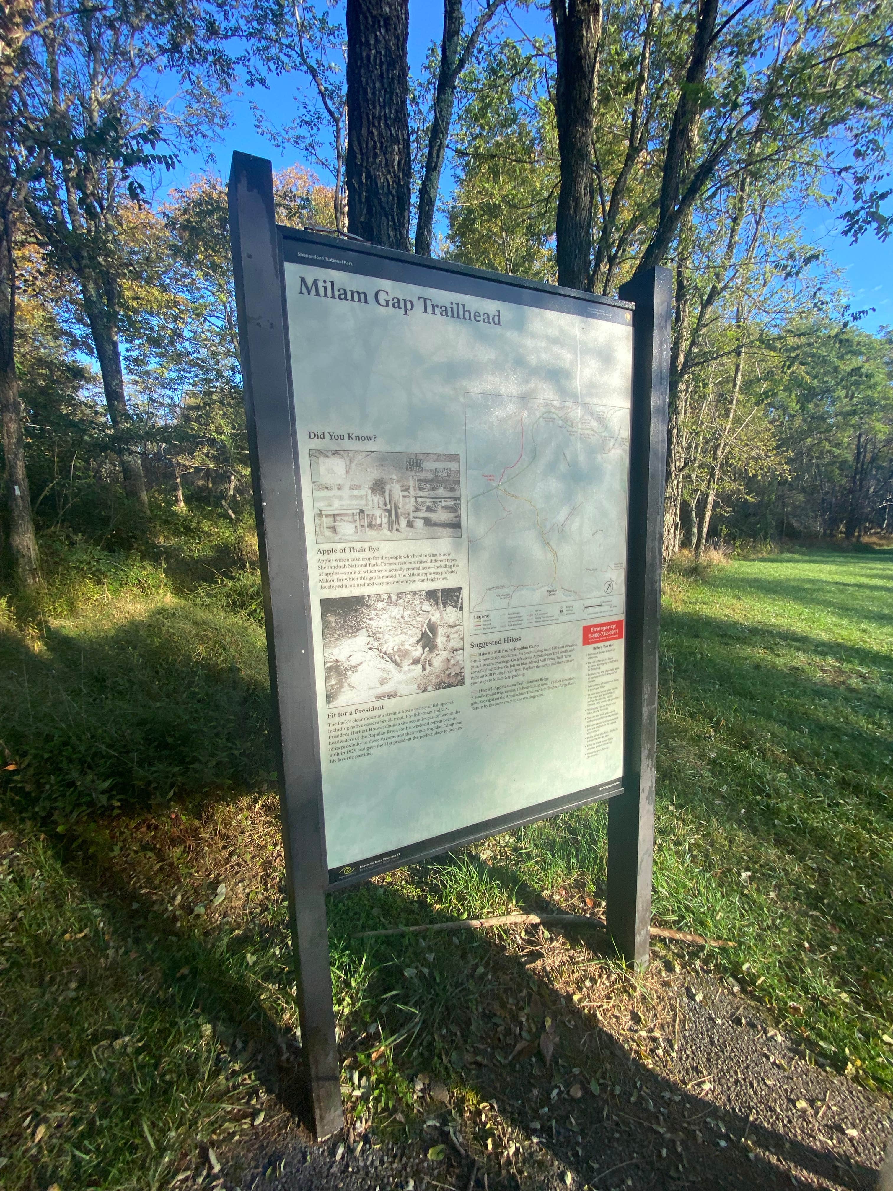 Camper-submitted photo at Hazeltop Summit Dispersed Camping near Culpeper, VA
