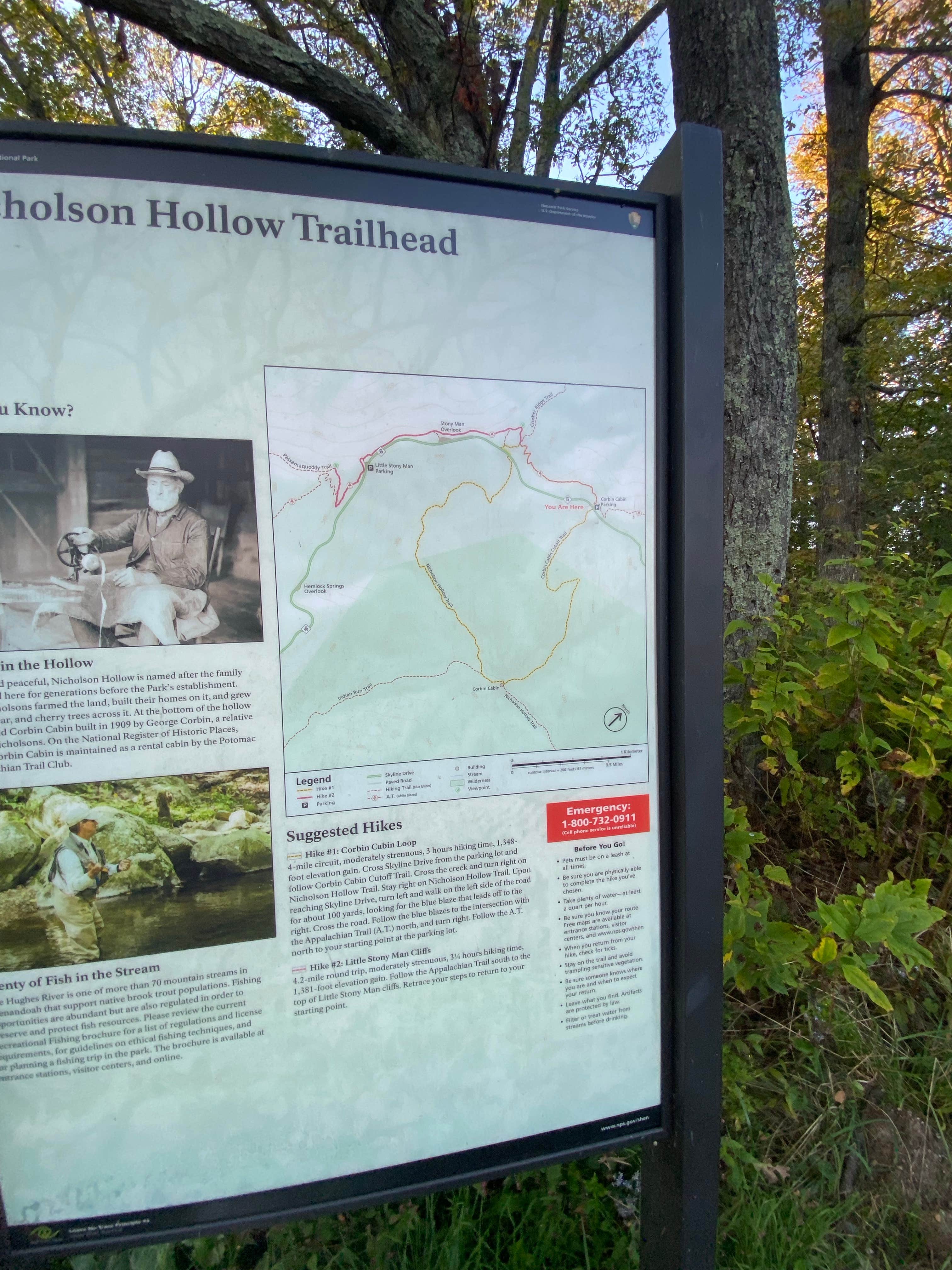 Camper-submitted photo at Hazeltop Summit Dispersed Camping near Culpeper, VA