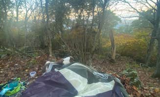 Nora S.'s photo at Hazeltop Summit Dispersed Camping near Ruckersville, VA