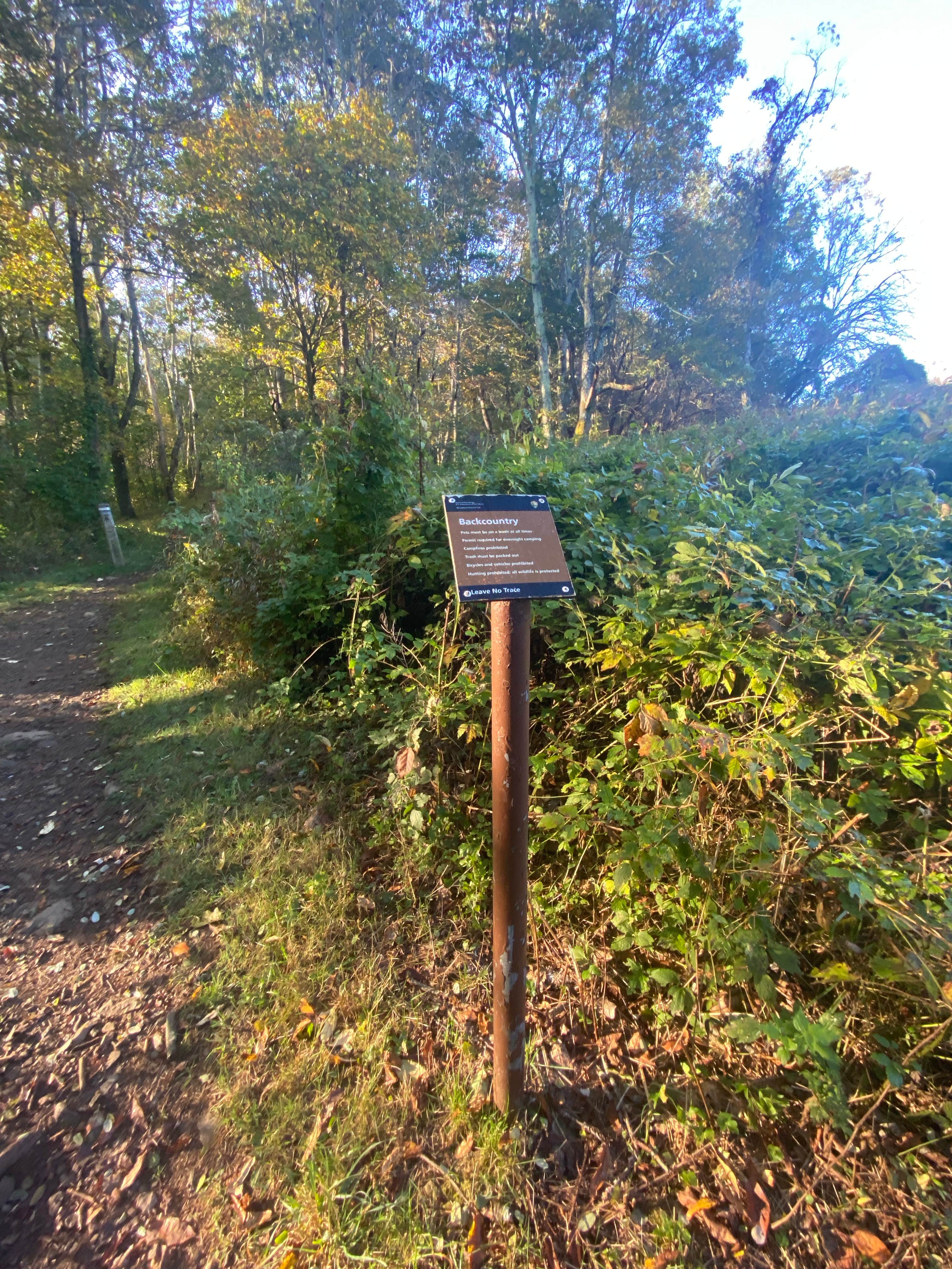 Camper-submitted photo at Hazeltop Summit Dispersed Camping near Culpeper, VA