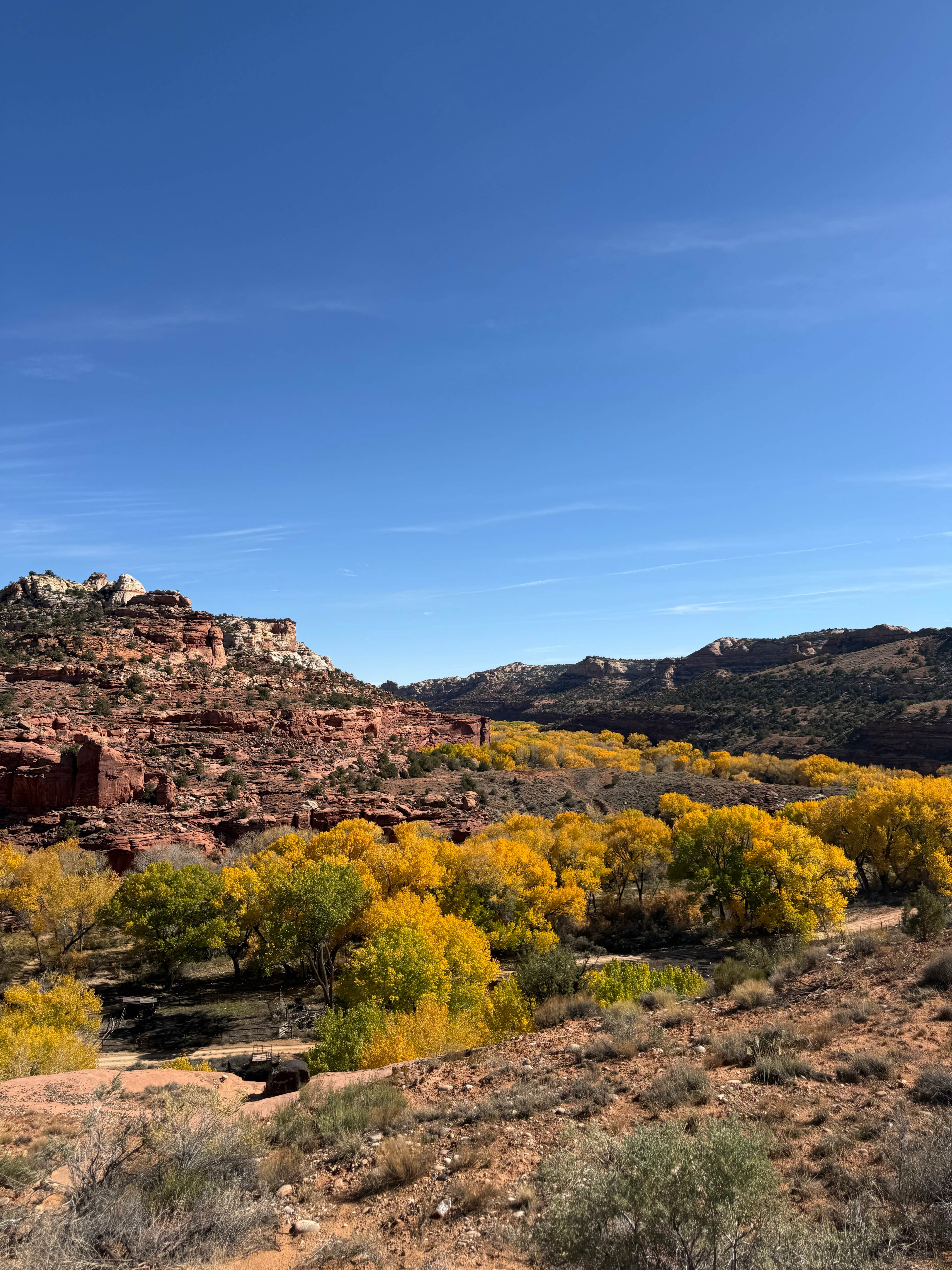 Camper-submitted photo at Head of the Rock dispersed near Escalante, UT