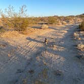Review photo of Heart of the Mojave on Kelbaker Road by Jules D., June 6, 2026