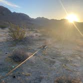 Review photo of Heart of the Mojave on Kelbaker Road by Jules D., June 6, 2026