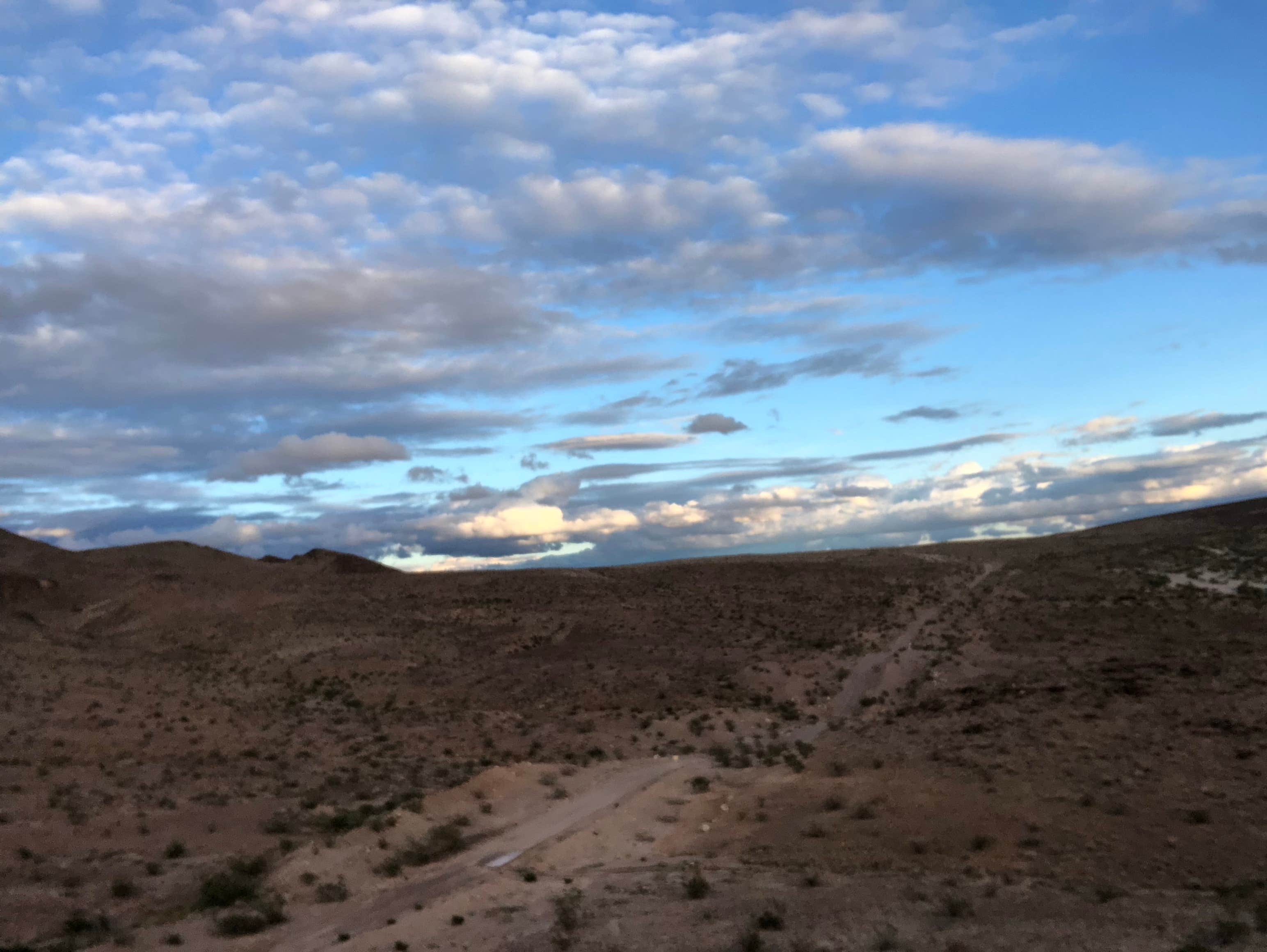 Meatball W.'s photo of a dispersed camping area at Heart of the Mojave on Kelbaker Road near Amboy, CA
