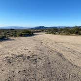 Review photo of Heart of the Mojave on Kelbaker Road by Danny T., April 6, 2024