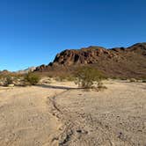 Review photo of Heart of the Mojave on Kelbaker Road by Eric C., October 19, 2026