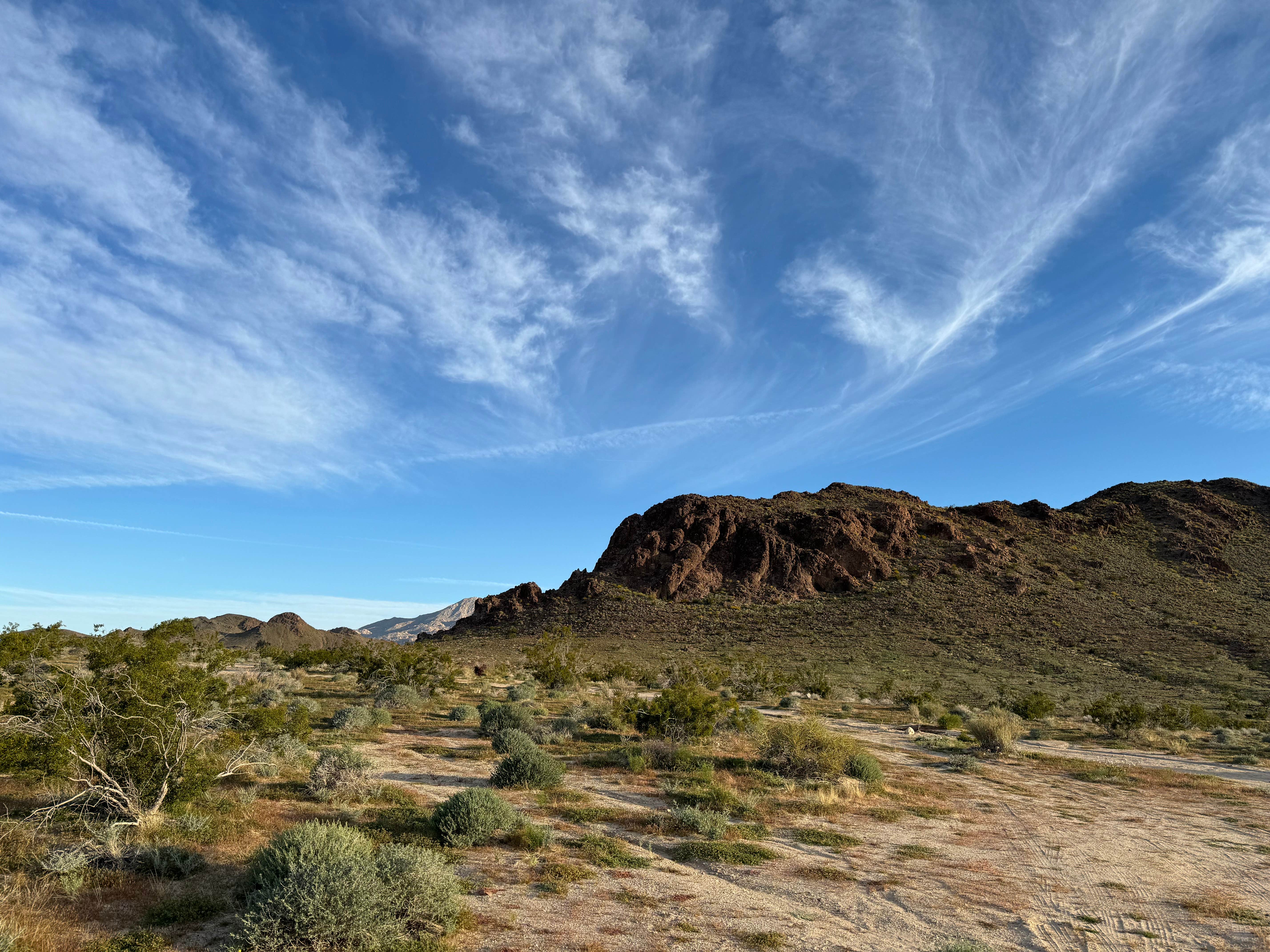 Camper-submitted photo at Heart of the Mojave on Kelbaker Road near Amboy, CA