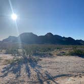 Review photo of Heart of the Mojave on Kelbaker Road by Danny T., April 6, 2024