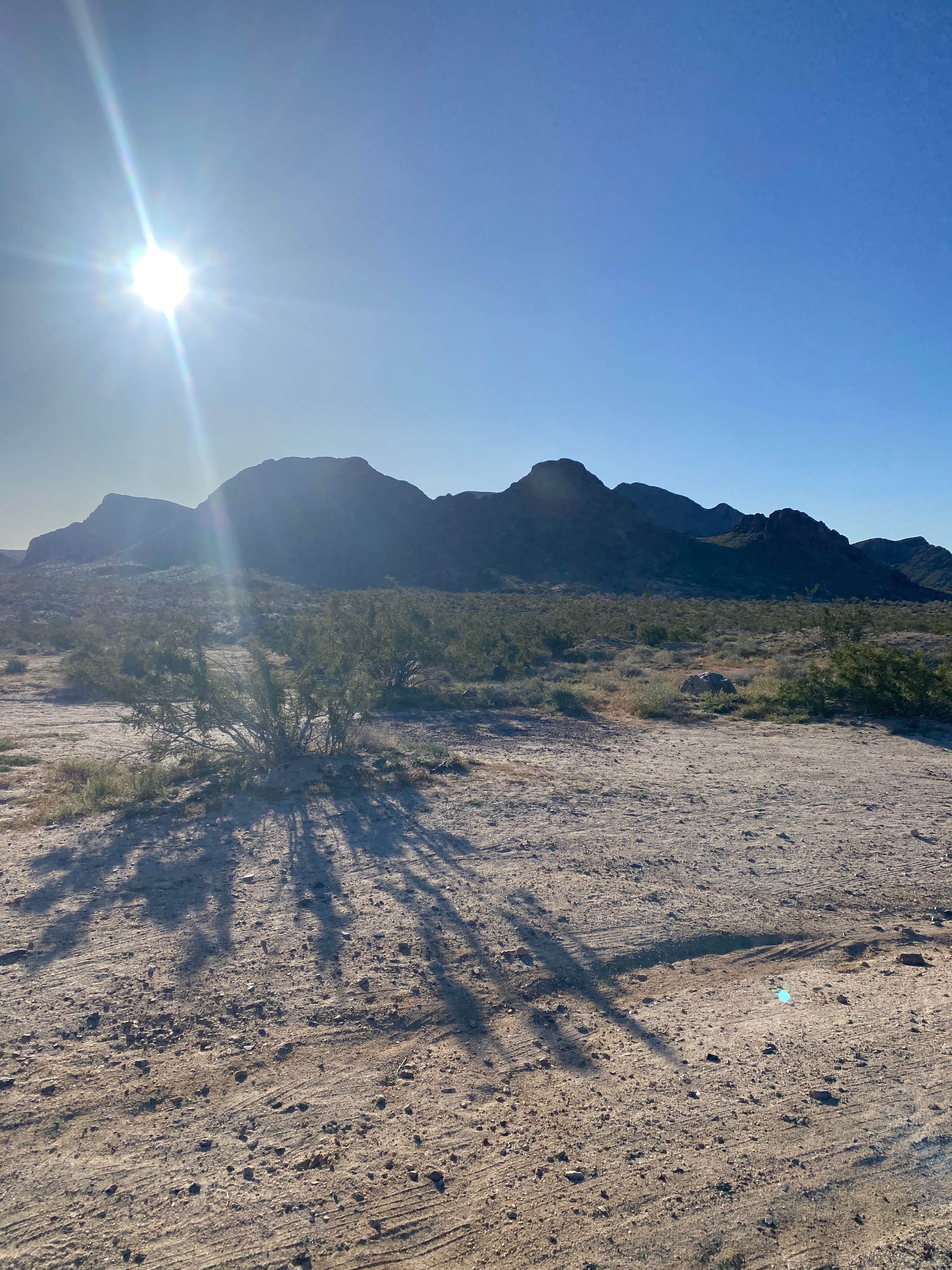 Camper submitted image from Heart of the Mojave on Kelbaker Road - 1