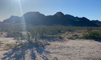 Camping near Sheephole Valley Wilderness: Heart of the Mojave on Kelbaker Road, Amboy, California