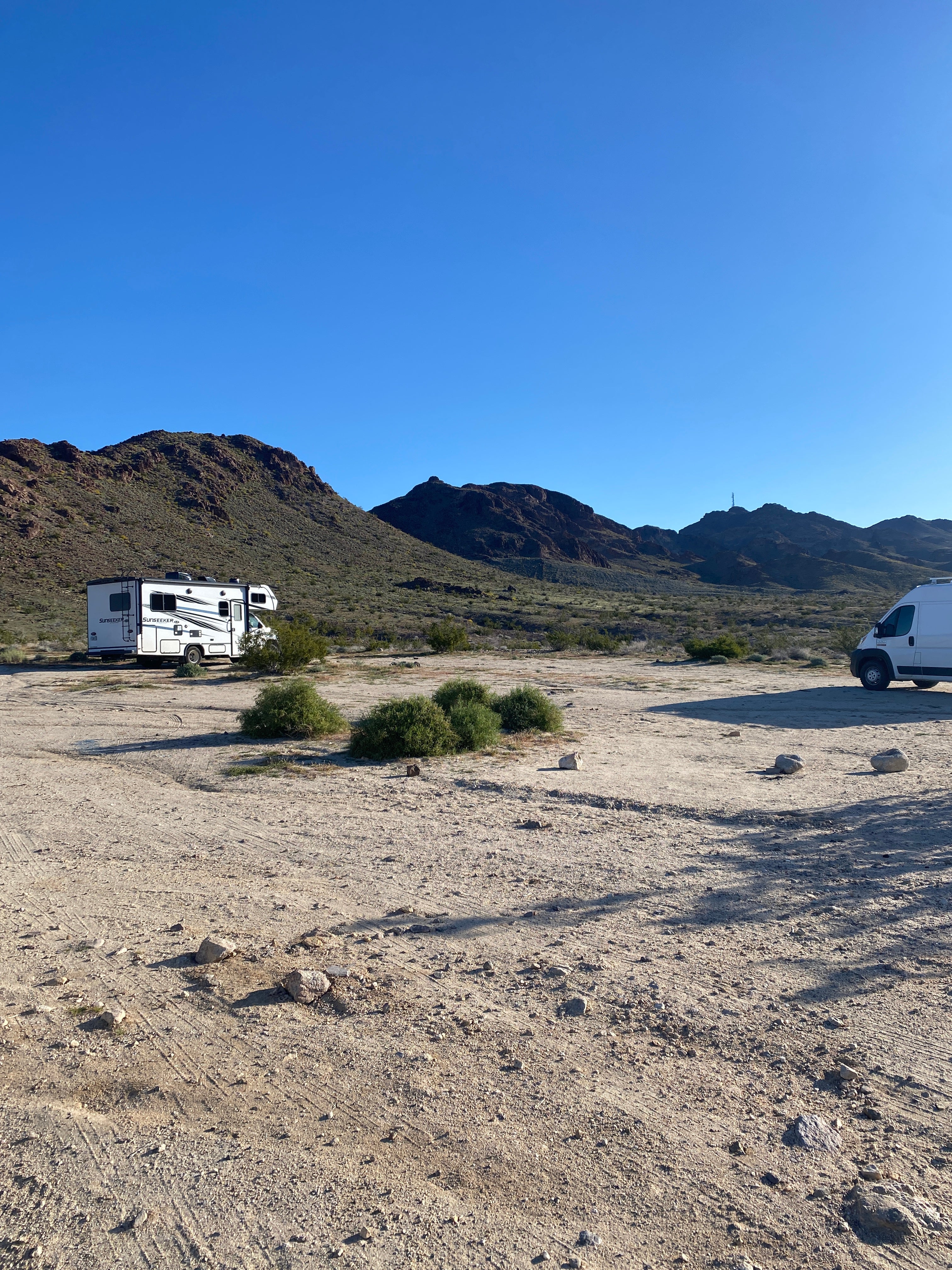 Camper submitted image from Heart of the Mojave on Kelbaker Road - 5