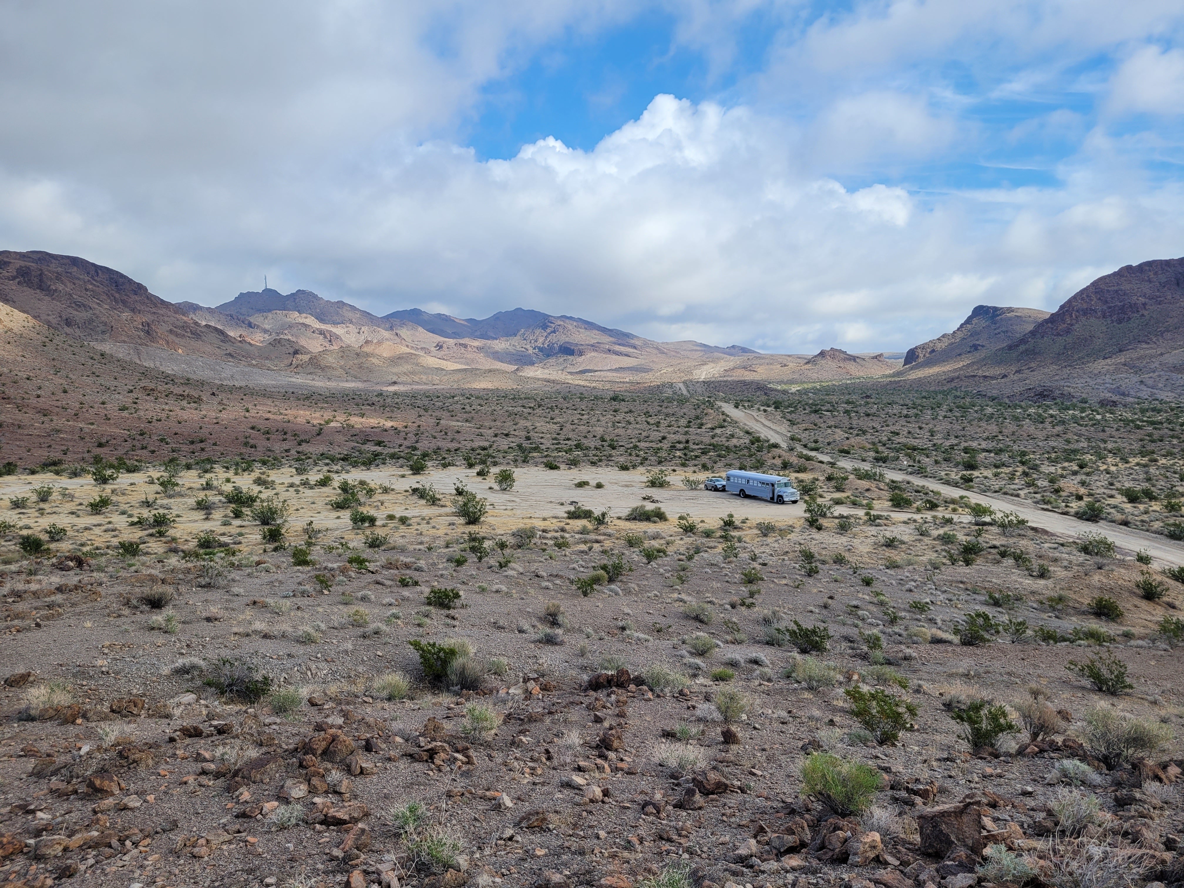 Camper submitted image from Heart of the Mojave on Kelbaker Road - 3