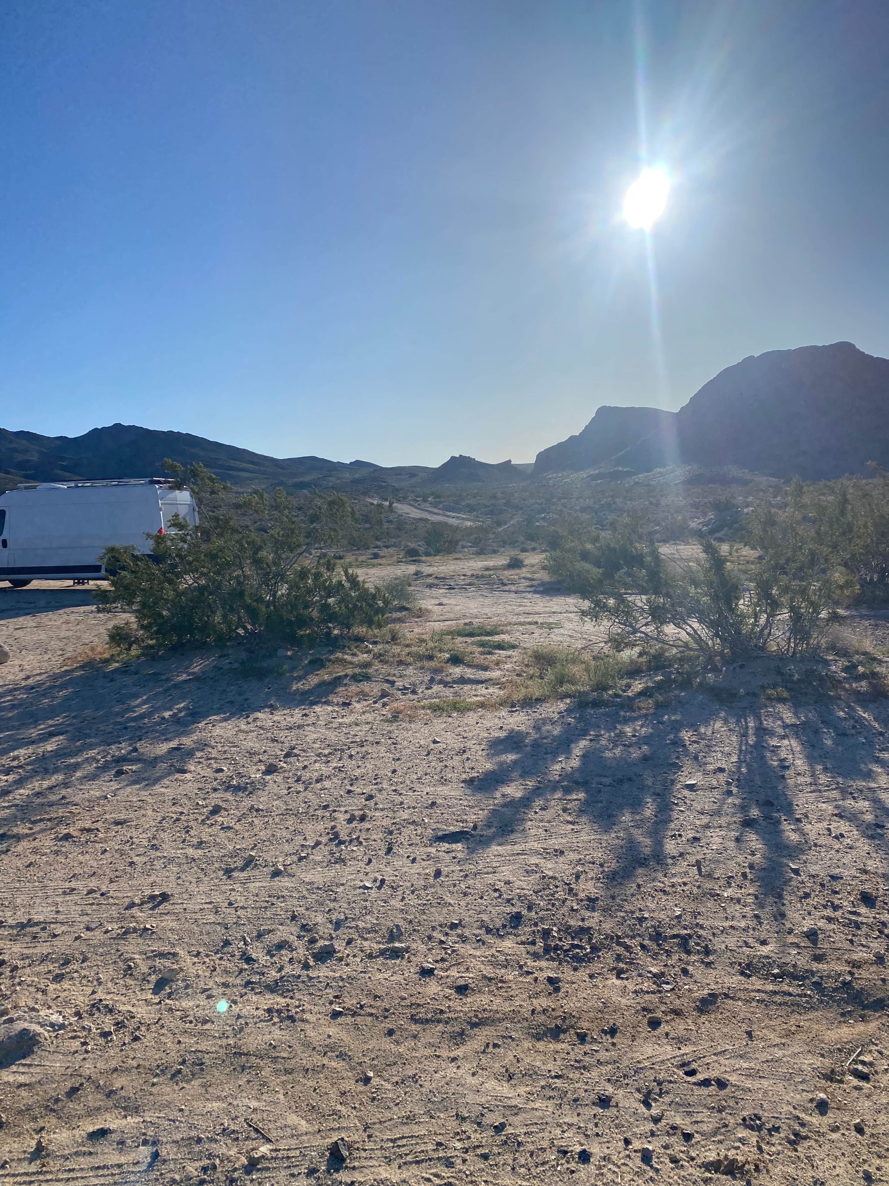 Danny T.'s photo of a dispersed camping area at Heart of the Mojave on Kelbaker Road near Amboy, CA