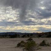 Review photo of Heart of the Mojave on Kelbaker Road by Karen C., January 23, 2026