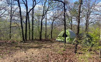 Mara Y.'s photo at Heavener Runestone Park in Oklahoma