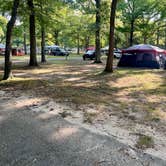 Review photo of Heckscher State Park Campground by Jessica C., October 11, 2024