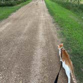 Review photo of Heib Memorial Park by Claire G., August 5, 2026