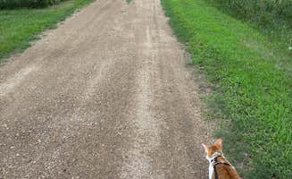 Claire G.'s photo of camping with pets at Heib Memorial Park near Sioux Falls, SD