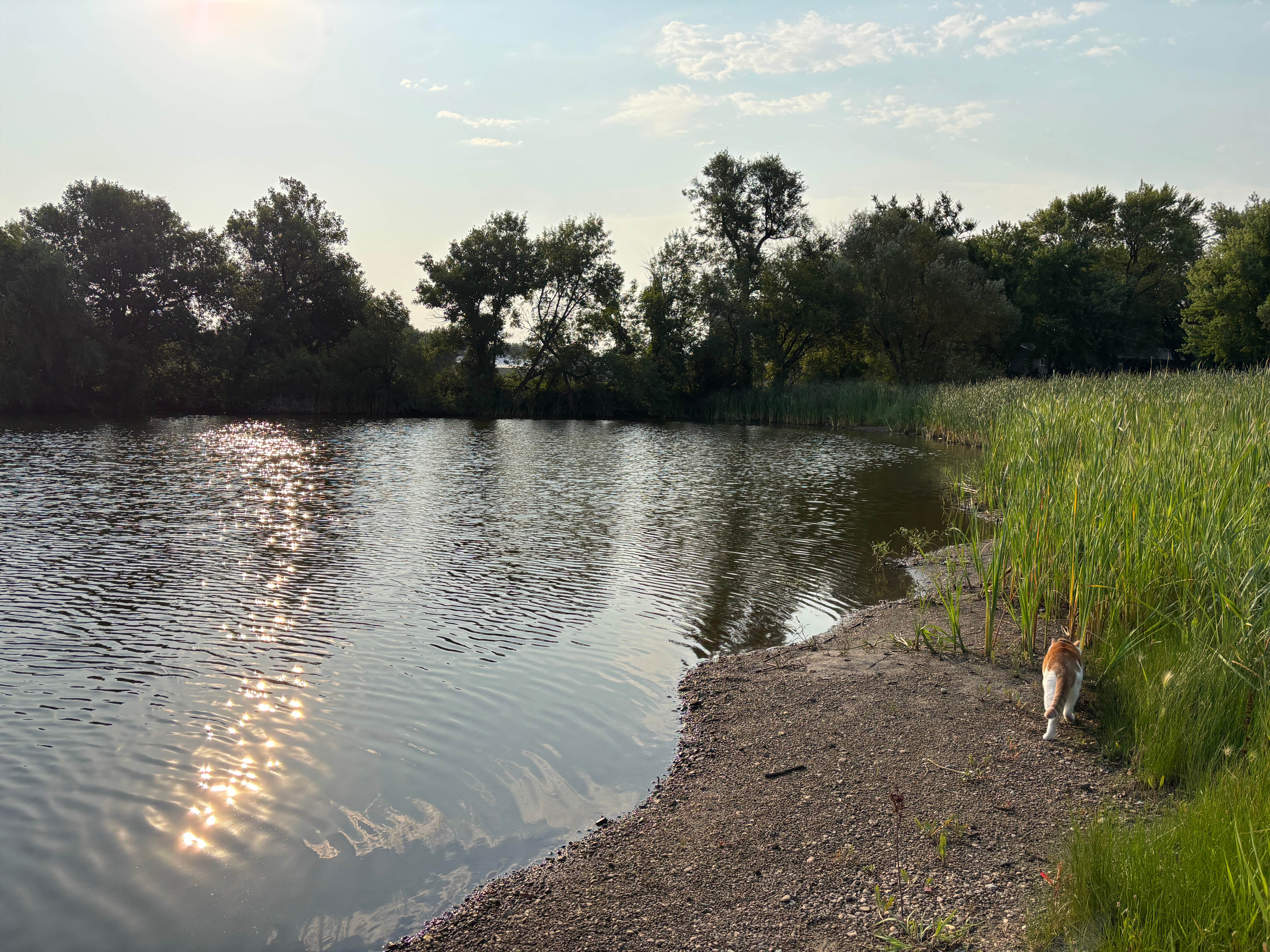 Camper-submitted photo at Heib Memorial Park near Canistota, SD