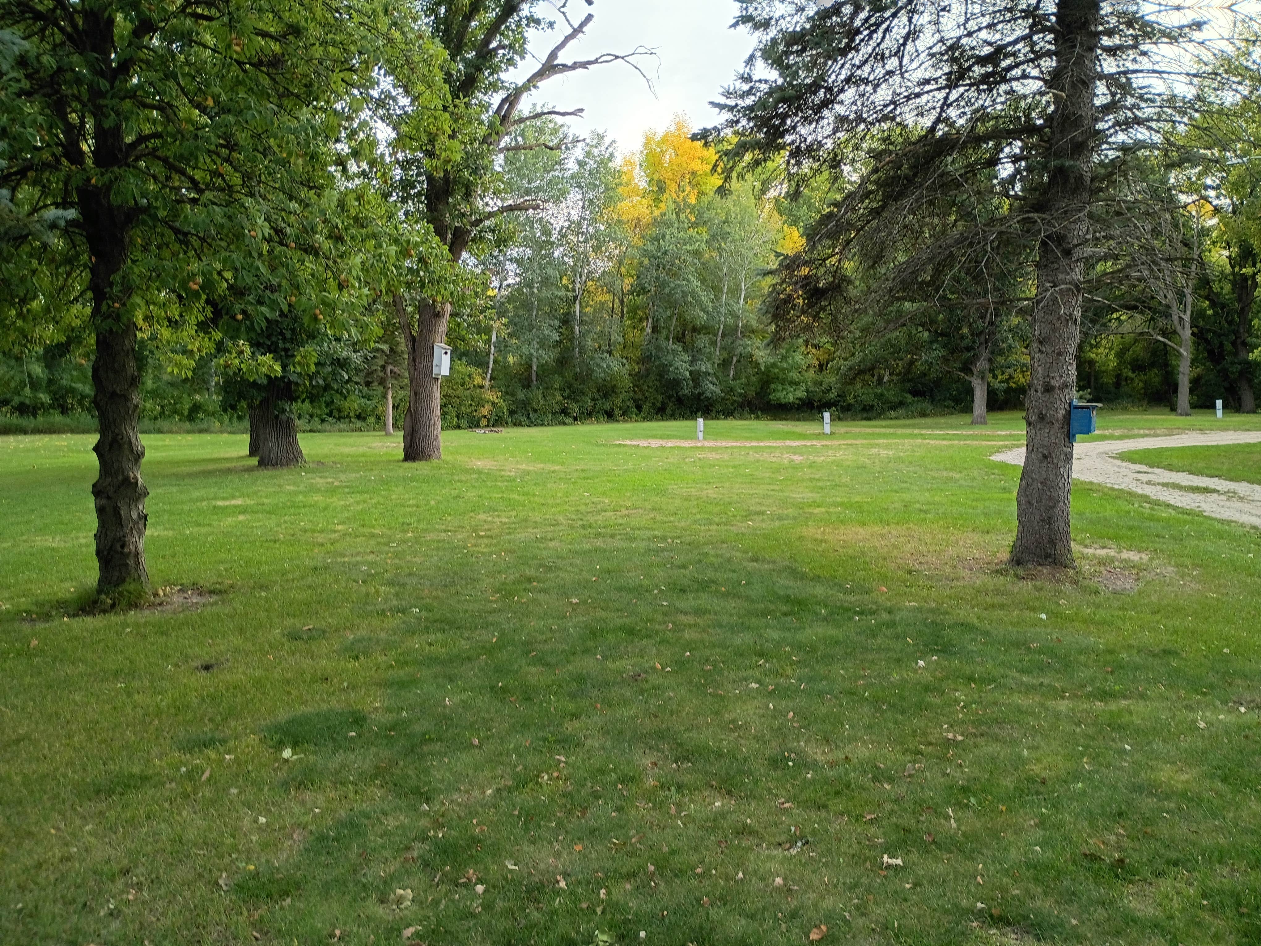 Camper-submitted photo at Heiberg Park near Fertile, MN