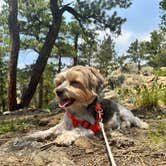 Review photo of Hell Canyon Dispersed by JUSTIN H., August 1, 2025