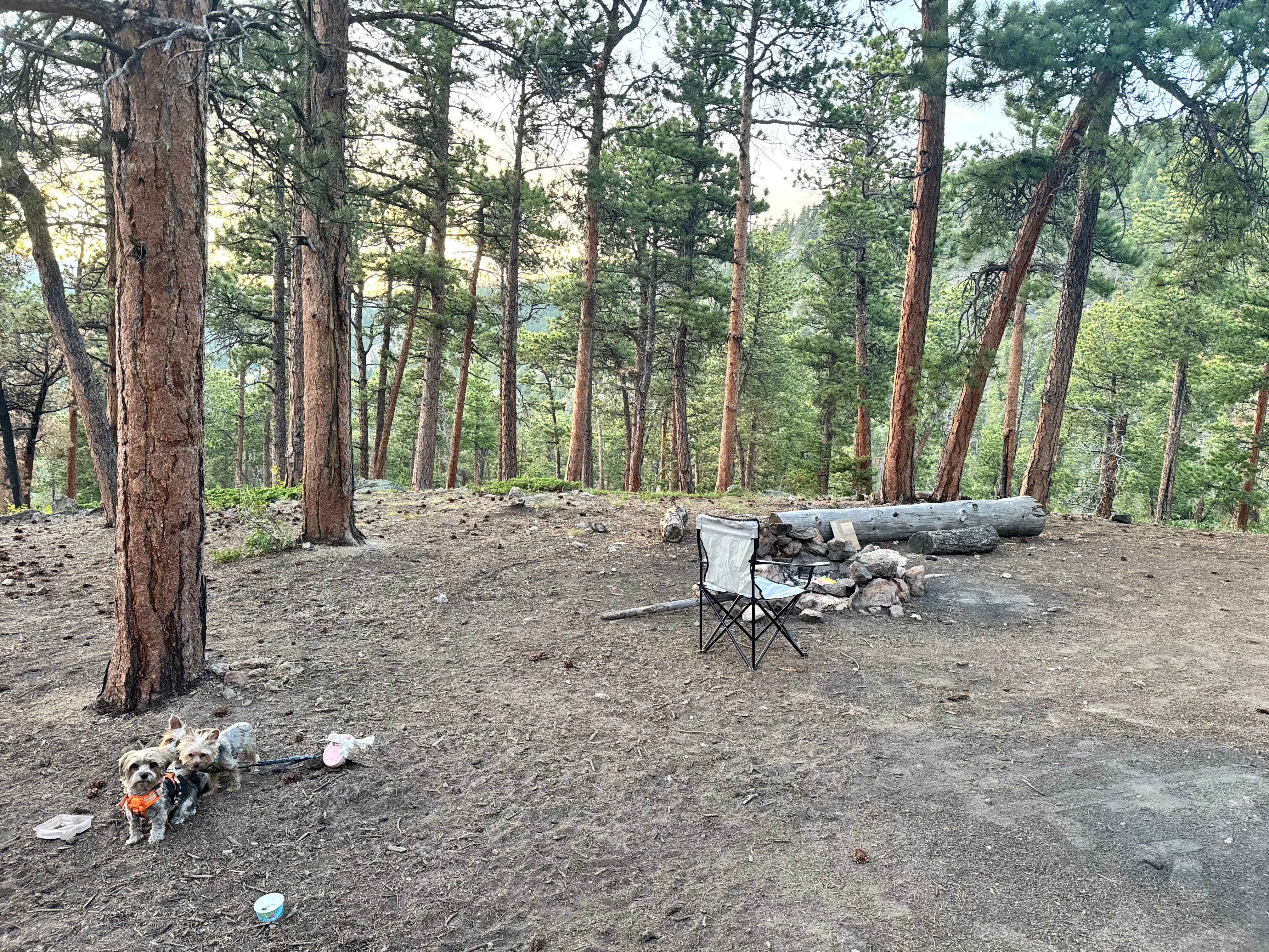 JUSTIN H.'s photo at Hell Canyon Dispersed near Lyons, CO