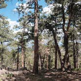 Review photo of Hell Canyon Dispersed by Alicia O., July 1, 2025