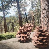 Review photo of Hell Canyon Dispersed by Alicia O., July 1, 2025