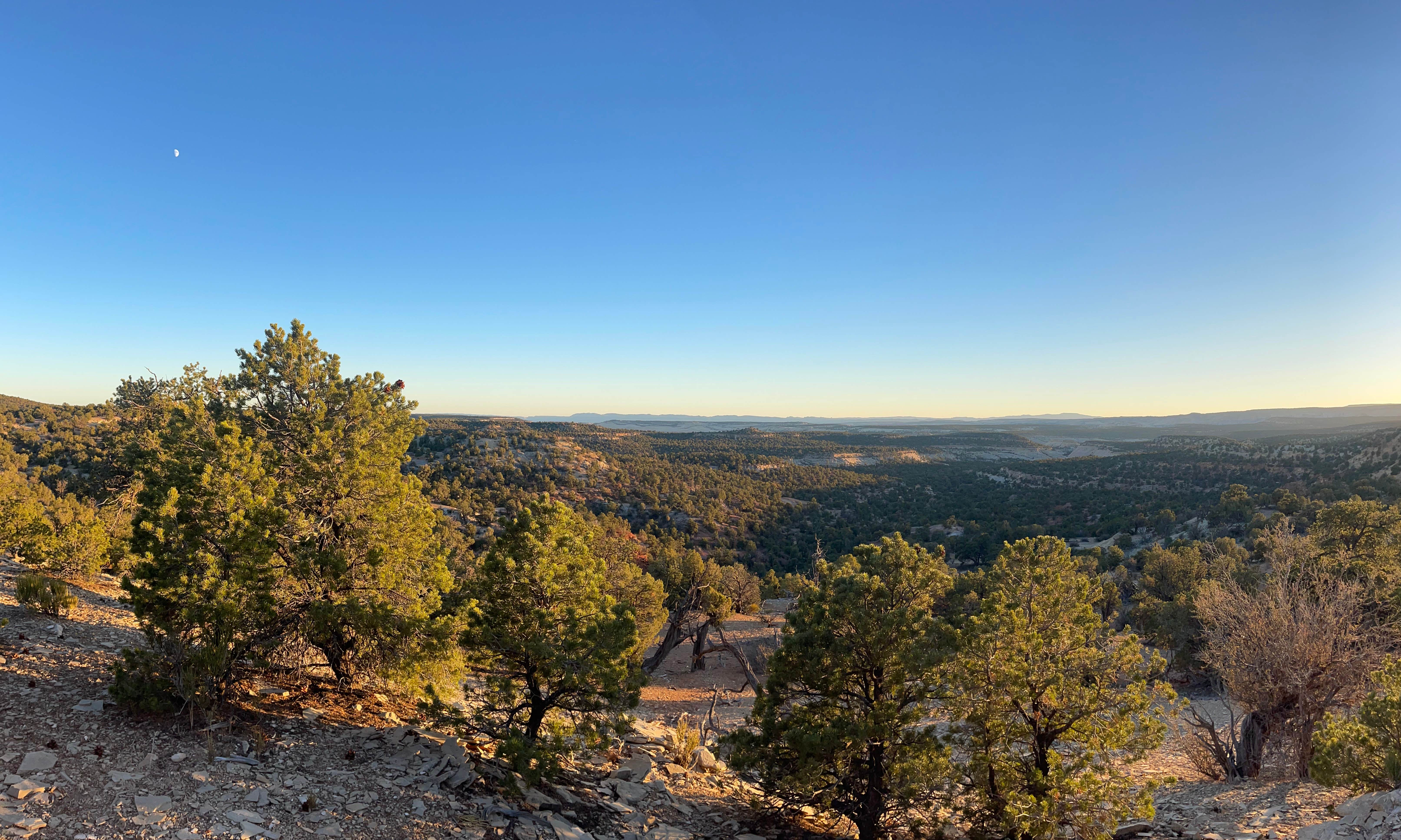 Camper-submitted photo at Hell’s Backbone Road - Canyon View Dispersed near Escalante, UT