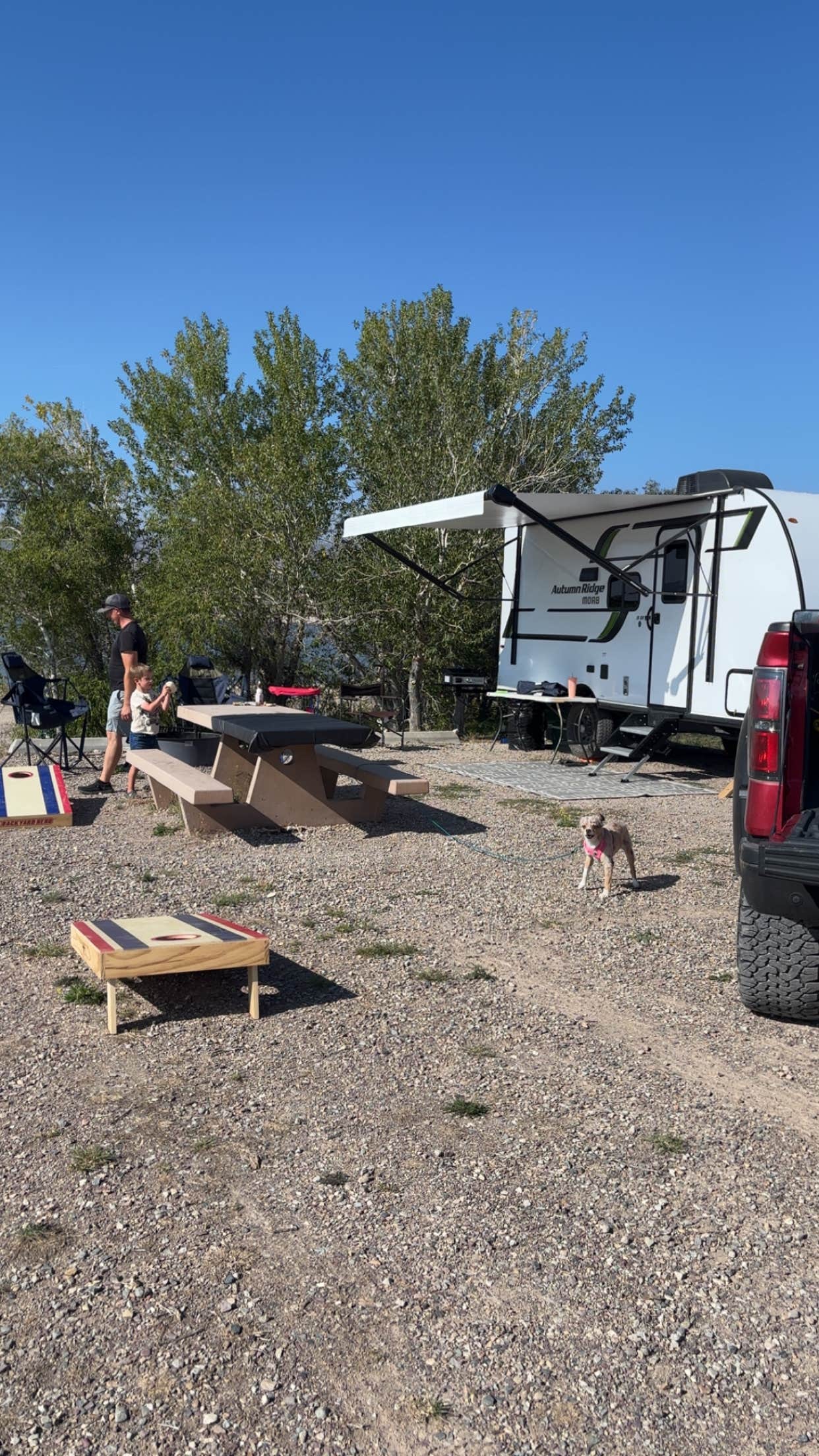 Shelby T.'s photo of camping with pets at Hellgate Campground near Helena, MT