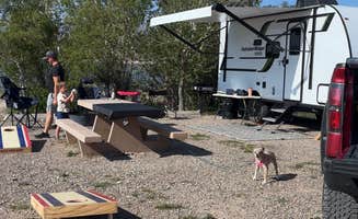 Shelby T.'s photo of camping with pets at Hellgate Campground near Neihart, MT