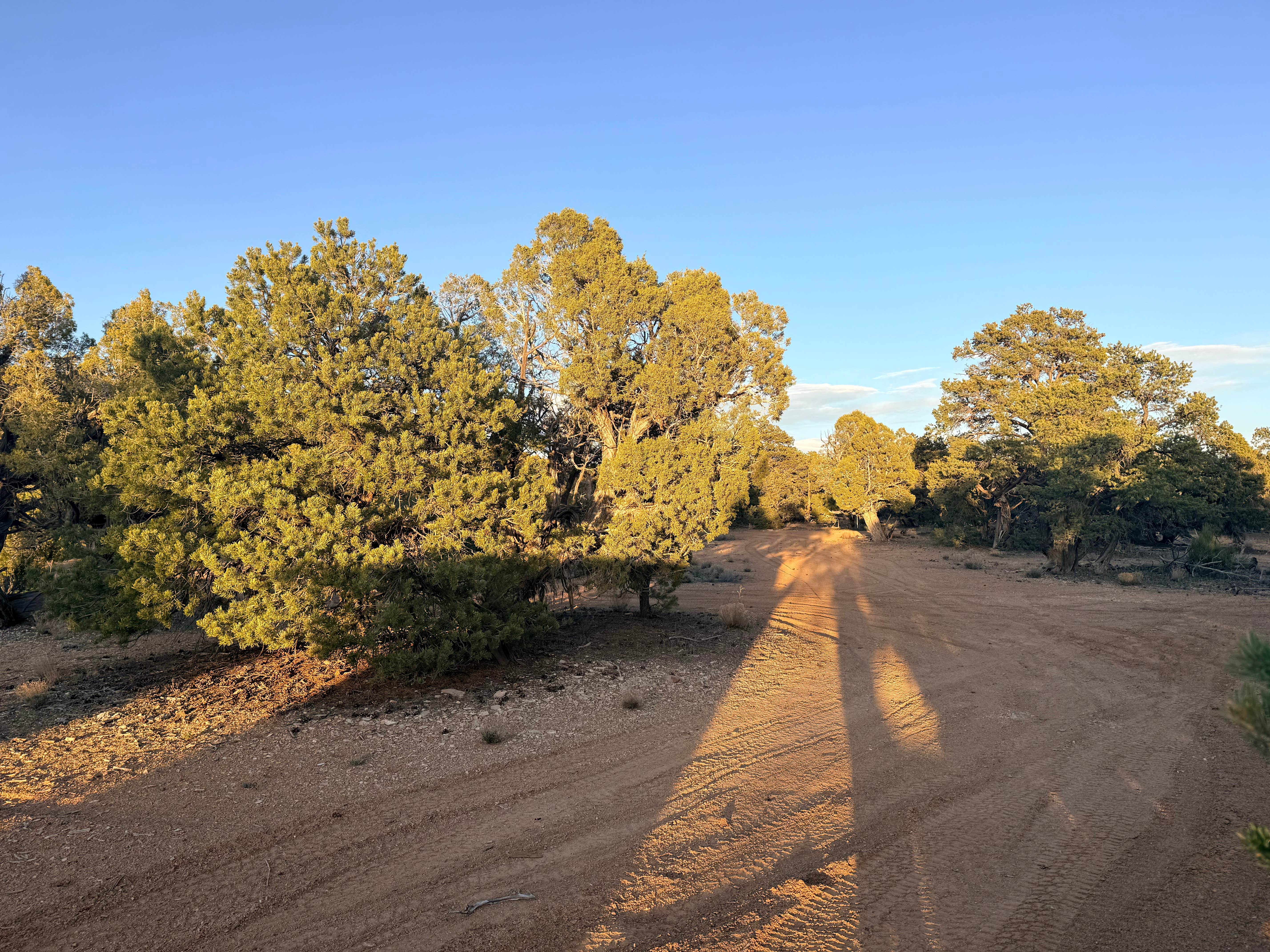 Camper-submitted photo at Hells Backbone / 153 (large site) near Torrey, UT