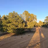 Review photo of Hells Backbone / 153 (large site) by Ashley R., April 4, 2026