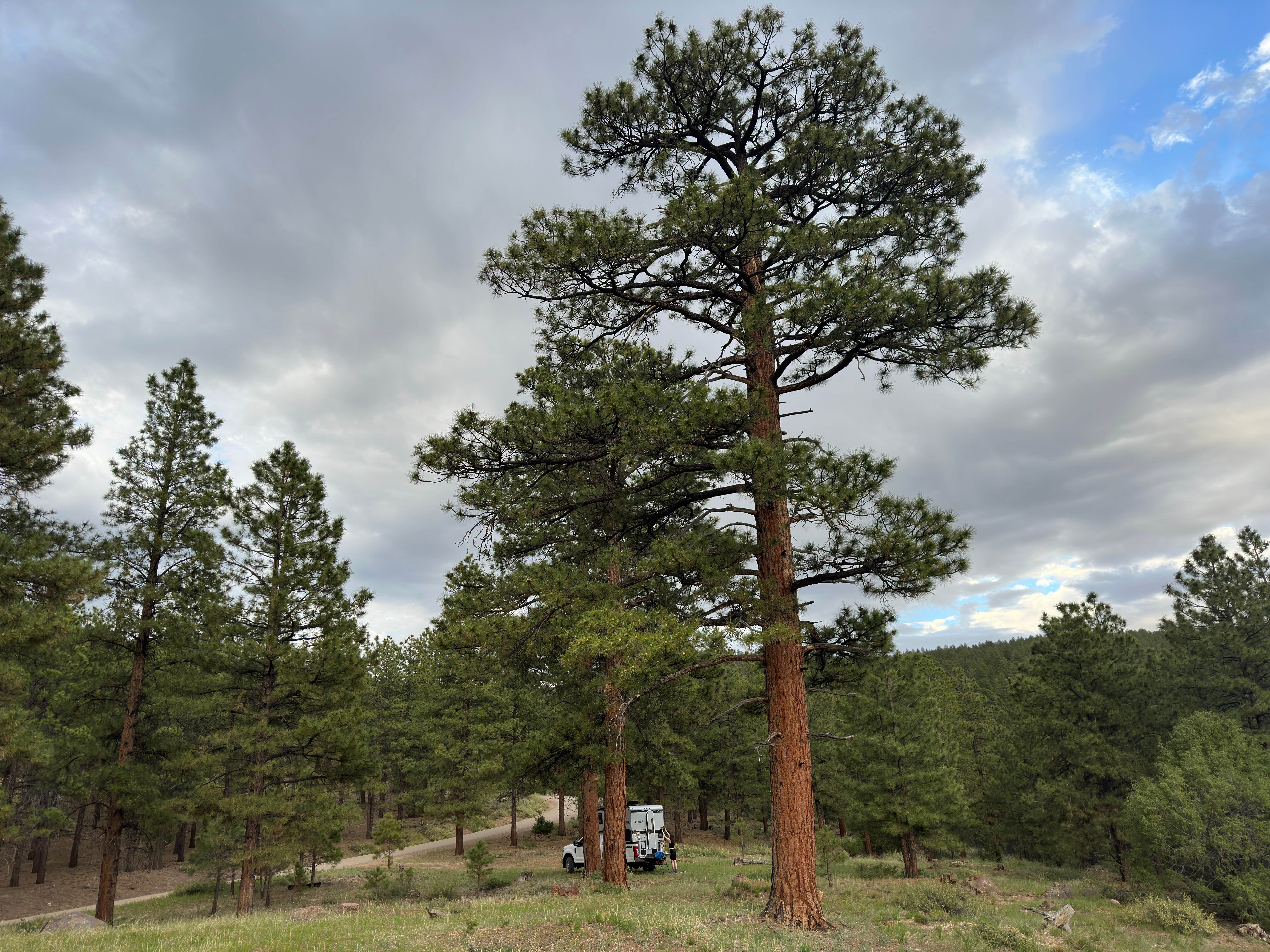Camper-submitted photo at Hells Backbone / 153 (large site) near Escalante, UT