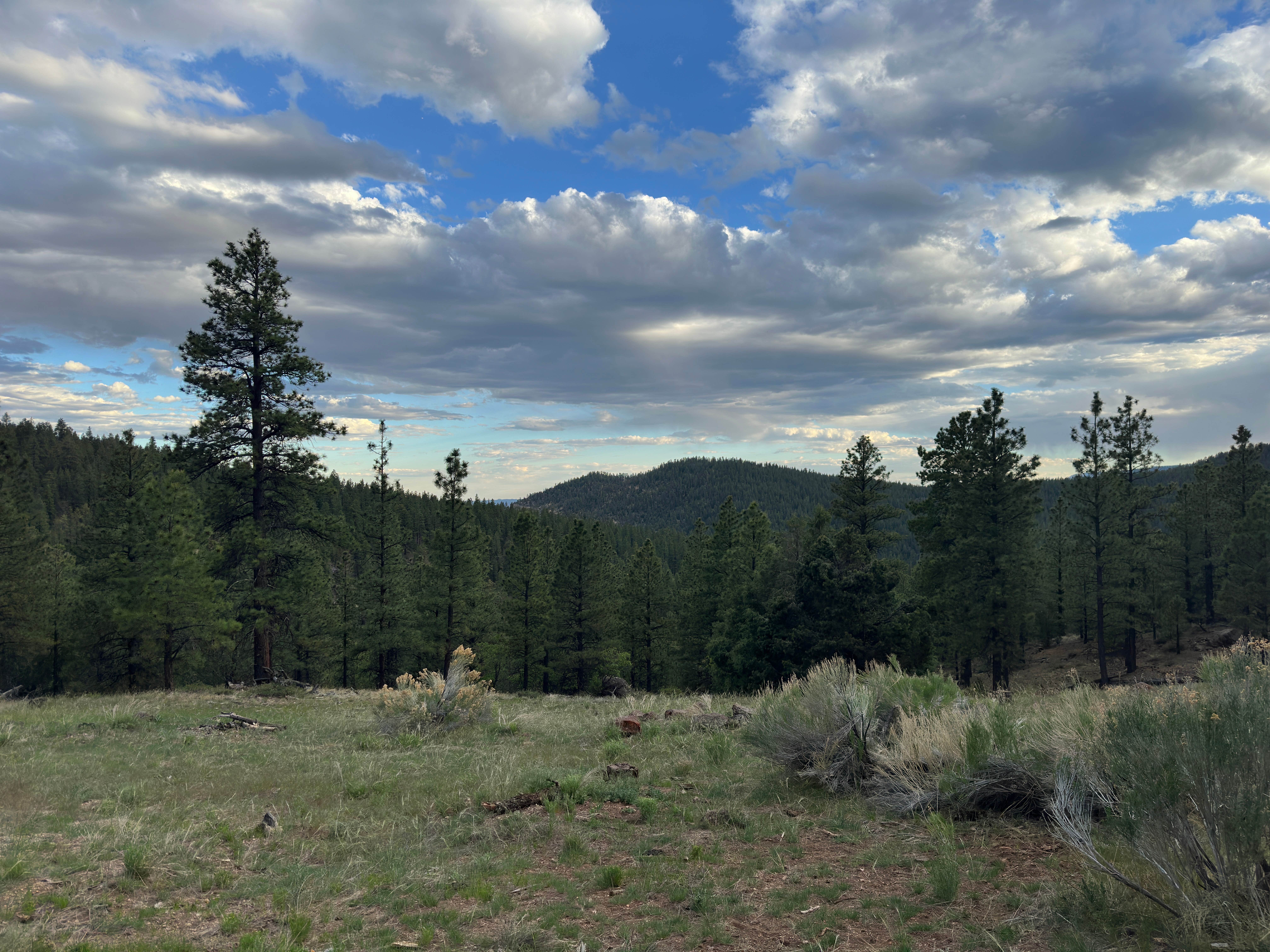 Camping near Hell’s Backbone Road - Canyon View Dispersed: Hells Backbone / 153 (large site), Boulder, Utah