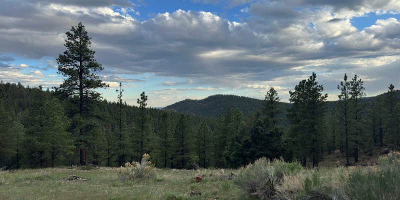 Camper submitted image from Hells Backbone / 153 (large site)