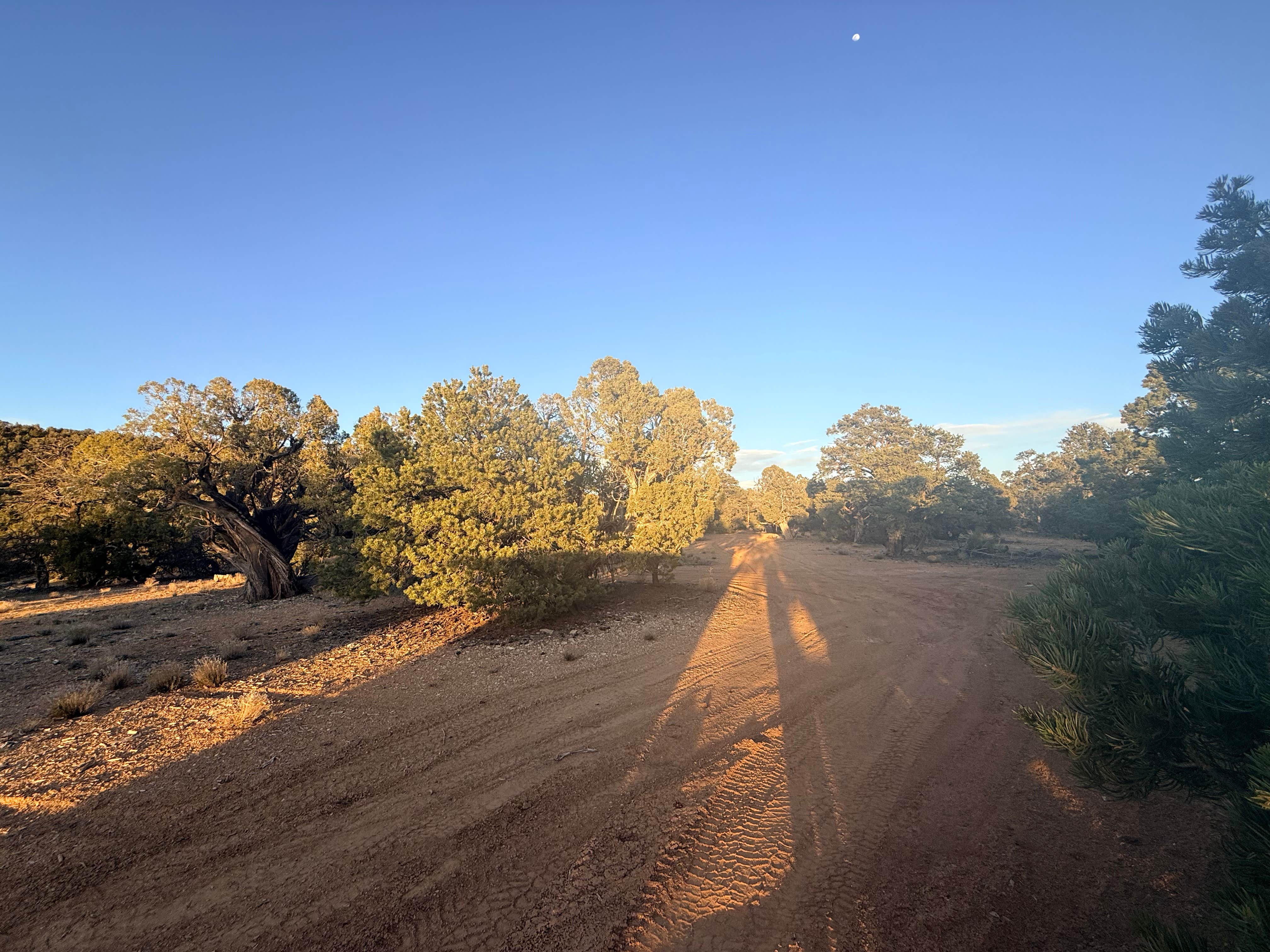 Camper-submitted photo at Hells Backbone / 153 (large site) near Torrey, UT