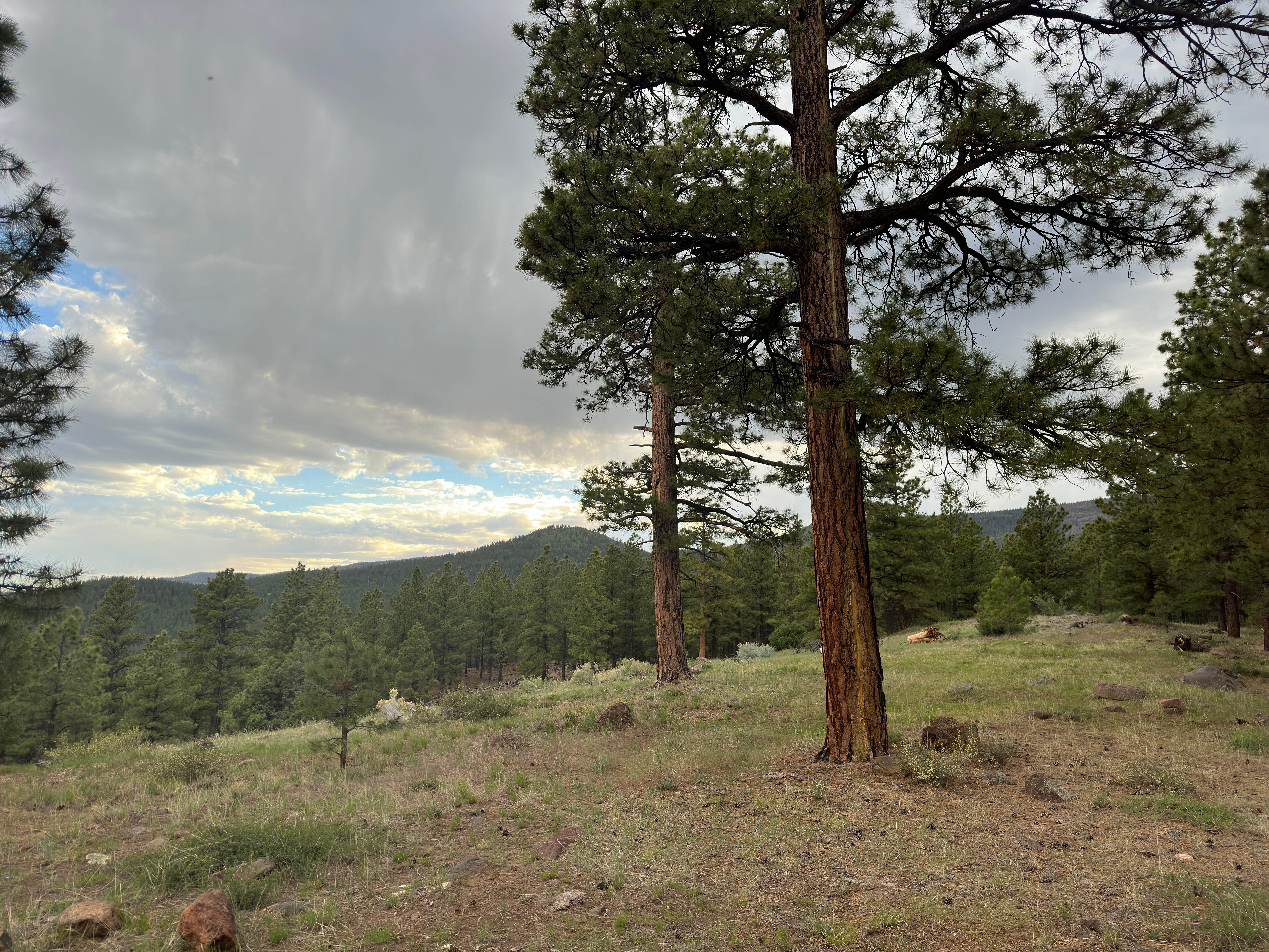 Camper-submitted photo at Hells Backbone / 153 (large site) near Escalante, UT