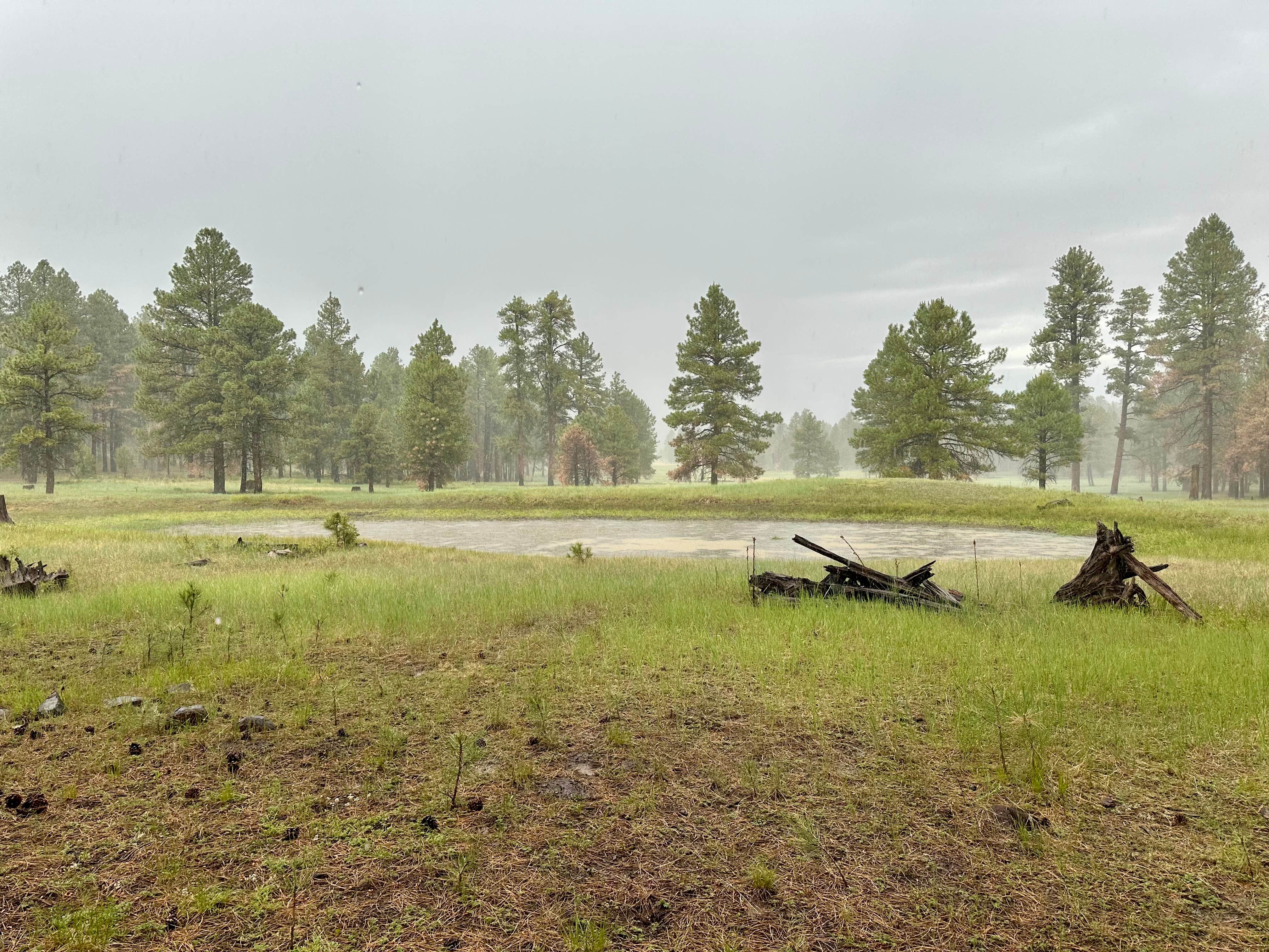 Camping near Apache Maid Cabin: Hells Hole Camp Site, Mormon Lake, Arizona