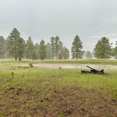 Review photo of Hells Hole Camp Site by Keri L., July 3, 2025