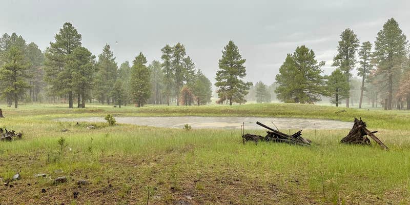 Camper submitted image from Hells Hole Camp Site