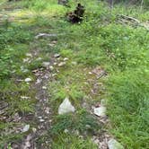 Review photo of Hemlock Ridge MUA Dispersed by Jance , June 25, 2026